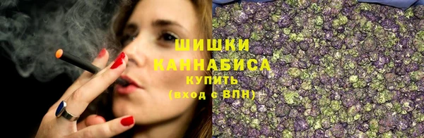 ПСИЛОЦИБИНОВЫЕ ГРИБЫ Богданович