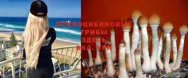 каннабис Богородск